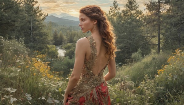 1girl,solo,long hair,brown hair,dress,bare shoulders,brown eyes,braid,flower,outdoors,sky,sleeveless,looking back,cloud,from behind,tree,lips,profile,back,grass,nature,scenery,forest,sunset,mountain,backless outfit,realistic,nose,bare back,backless dress,field,landscape,day