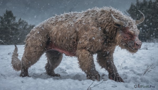 solo,standing,tail,full body,outdoors,horns,sky,teeth,blurry,tree,no humans,animal,fangs,sharp teeth,nature,claws,snow,forest,snowing,realistic,winter,bare tree,tusks,boar,signature,monster