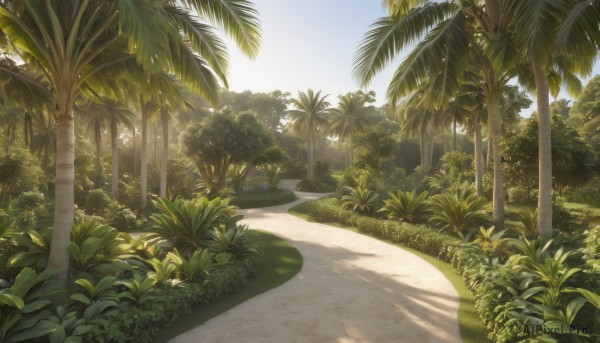 outdoors,sky,day,tree,no humans,shadow,beach,sunlight,grass,plant,nature,scenery,forest,sand,palm tree,road,bush,shade,cloud,blue sky,leaf,path