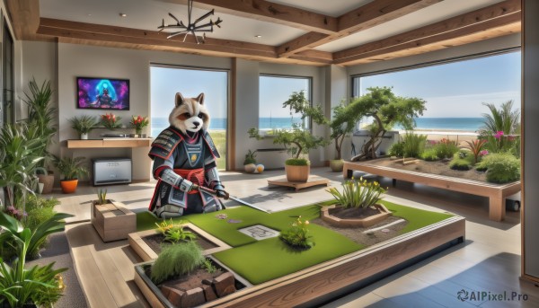 solo,1boy,holding,animal ears,weapon,flower,sword,indoors,armor,no humans,window,mask,table,plant,scenery,furry,desk,wooden floor,potted plant,japanese armor,furry male,flower pot,cactus,cutting board,gloves,sky,day,tree,grass,gauntlets,yellow flower,television,monitor,shelf,vase,painting (object),tanuki