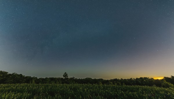 The timeless beauty of a unique subject in a tranquil sunset outdoors
