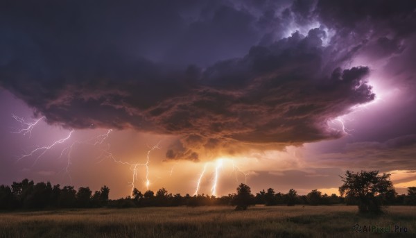 outdoors,sky,cloud,tree,no humans,cloudy sky,grass,nature,scenery,forest,sunset,sun,silhouette,electricity,lightning,water,fantasy,horizon,landscape