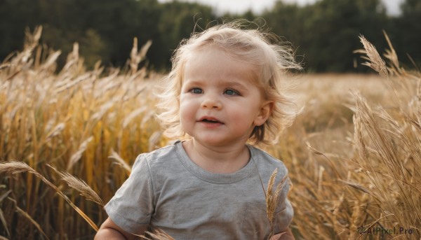 1girl,solo,looking at viewer,short hair,blue eyes,blonde hair,shirt,white shirt,upper body,short sleeves,outdoors,parted lips,day,blurry,lips,depth of field,blurry background,child,nature,grey shirt,realistic,female child,wheat,open mouth,white hair,teeth,wind