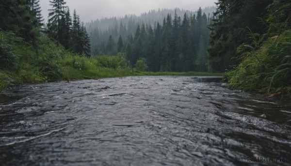 A graceful view of a landscape in day