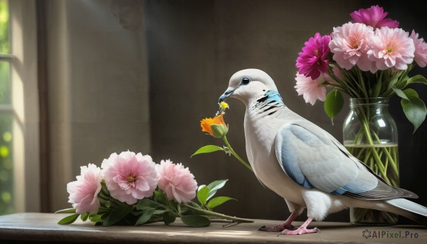 A indoors in a tranquil day