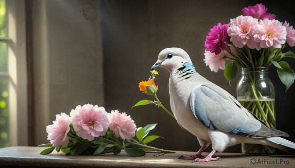 HQ,flower,day,indoors,blurry,from side,no humans,window,bird,animal,mouth hold,plant,pink flower,realistic,animal focus,vase,orange flower,duck,parrot,solo,standing,leaf,sunlight,holding flower,potted plant