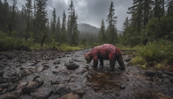 A stunning portrayal of a unique subject in a breathtaking outdoors