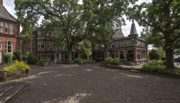 A street surrounded by a serene day