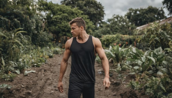 solo,short hair,brown hair,shirt,black hair,1boy,standing,flower,male focus,cowboy shot,outdoors,sleeveless,day,pants,blurry,tree,looking to the side,black shirt,muscular,black pants,tank top,plant,nature,forest,realistic,black tank top,photo background,bare shoulders,sky,facial hair,leaf,pectorals,muscular male,bara