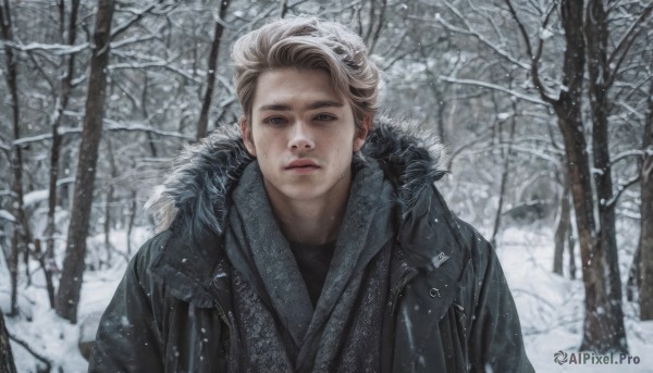 solo,looking at viewer,short hair,blonde hair,1boy,jacket,upper body,male focus,outdoors,parted lips,artist name,tree,lips,coat,black jacket,fur trim,watermark,nature,snow,forest,black coat,snowing,realistic,winter clothes,winter,bare tree,blue eyes,brown hair,open clothes,day,scarf,fur collar,open coat,fur-trimmed coat,winter coat