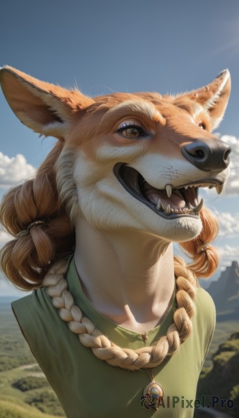 1girl,solo,long hair,smile,open mouth,brown hair,shirt,animal ears,brown eyes,jewelry,upper body,braid,outdoors,sky,teeth,day,artist name,cloud,signature,necklace,blurry,twin braids,blue sky,fox ears,blurry background,fangs,looking up,fox girl,portrait,furry,mountain,realistic,green shirt,furry female,body fur,animal nose,snout,sharp teeth,green dress