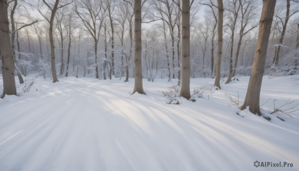 The majestic beauty of a unique subject set within a dynamic snowy day