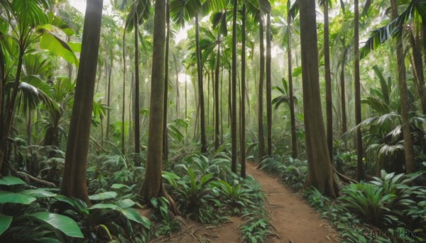 flower,outdoors,day,tree,dutch angle,no humans,leaf,traditional media,sunlight,grass,plant,nature,scenery,forest,road,bamboo,green theme,bamboo forest,path,bush