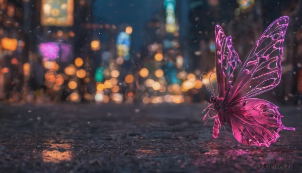 outdoors, wings, blurry, dutch angle, no humans, night, depth of field, blurry background, bug, building, butterfly, scenery, light particles, city, bokeh, butterfly wings, city lights