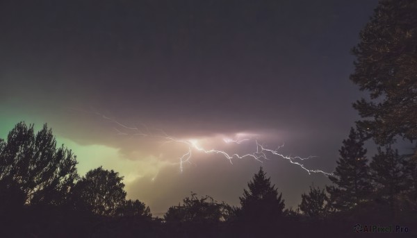 outdoors,sky,cloud,tree,no humans,night,cloudy sky,nature,scenery,forest,electricity,lightning