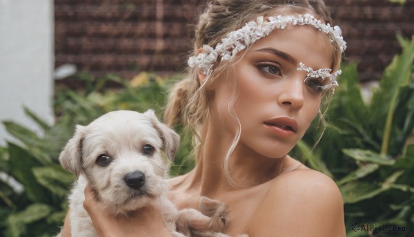 1girl,solo,long hair,blue eyes,blonde hair,brown hair,hair ornament,holding,bare shoulders,upper body,flower,parted lips,blurry,lips,depth of field,blurry background,animal,plant,portrait,freckles,dog,realistic,head wreath,holding animal,eyelashes,leaf,nose,puppy