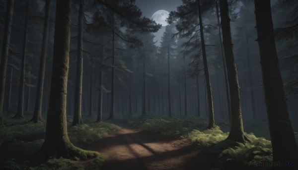 The allure of a unique subject in a dynamic outdoors