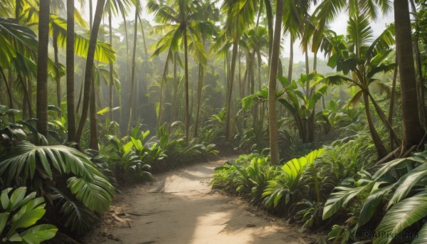 outdoors,day,tree,no humans,shadow,leaf,sunlight,grass,plant,nature,scenery,forest,sand,bush,bamboo,green theme,road,path