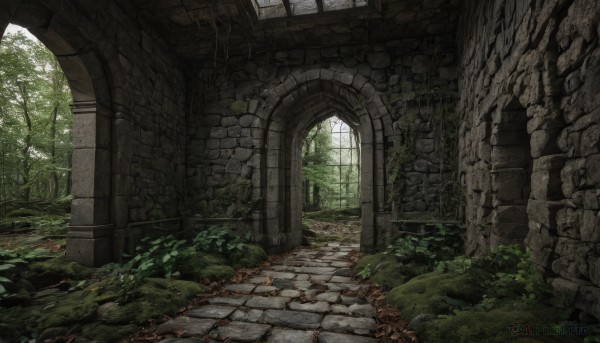 outdoors,day,indoors,tree,dutch angle,no humans,window,sunlight,grass,plant,nature,scenery,forest,rock,ruins,pillar,path,arch,moss,stone,overgrown,stone floor,stone wall,broken window,stairs,fantasy,door,bush,wall,architecture