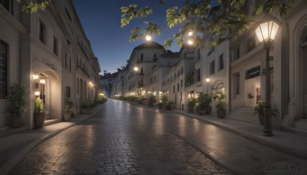 outdoors,sky,water,tree,no humans,window,night,plant,building,star (sky),night sky,scenery,starry sky,reflection,door,potted plant,light,road,lamp,bush,house,lamppost,street,flower pot,pavement,city,town