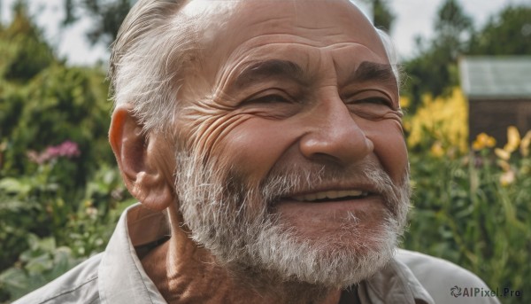 solo,smile,shirt,1boy,closed eyes,white shirt,flower,white hair,male focus,outdoors,teeth,day,collared shirt,grin,blurry,tree,blurry background,facial hair,thick eyebrows,portrait,facing viewer,beard,realistic,mustache,sunflower,bald,manly,old,old man,wrinkled skin,depth of field,close-up