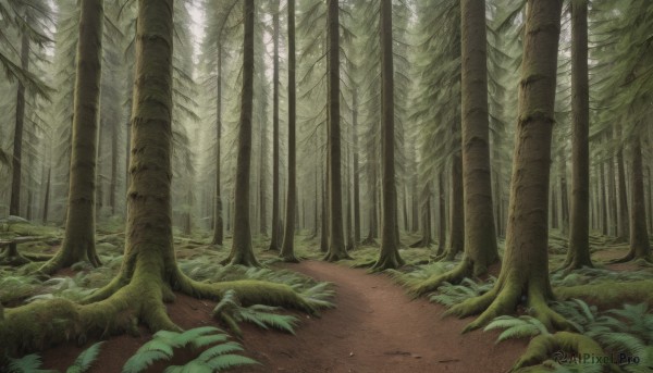 A landscape captured beautifully in a inviting day