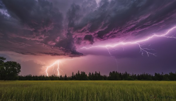 outdoors,sky,cloud,tree,no humans,cloudy sky,grass,nature,scenery,forest,sunset,silhouette,electricity,field,lightning,landscape,purple sky