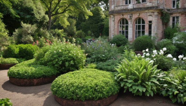 A striking day featuring the elegance of a garden
