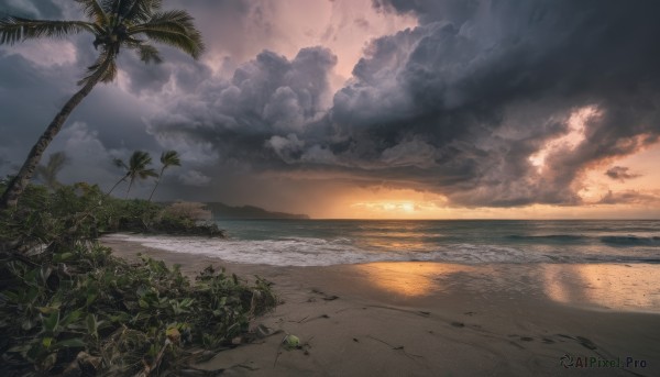 outdoors,sky,cloud,water,tree,no humans,ocean,beach,sunlight,cloudy sky,plant,scenery,sunset,rock,sand,palm tree,sun,horizon,shore