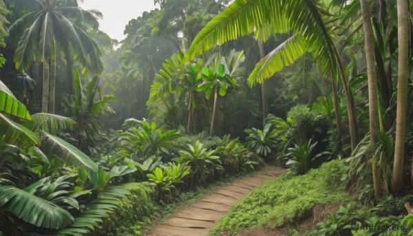 outdoors,day,tree,no humans,leaf,traditional media,sunlight,grass,plant,nature,scenery,forest,palm tree,bush,green theme,road,path