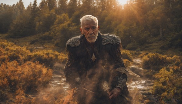 solo,looking at viewer,short hair,long sleeves,1boy,holding,closed mouth,weapon,white hair,male focus,outdoors,day,sword,water,armor,tree,facial hair,scar,sunlight,shoulder armor,nature,scenery,beard,forest,pauldrons,light rays,realistic,old,old man,river,jewelry,fantasy