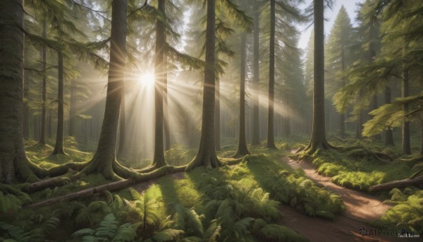 A serene day featuring a landscape