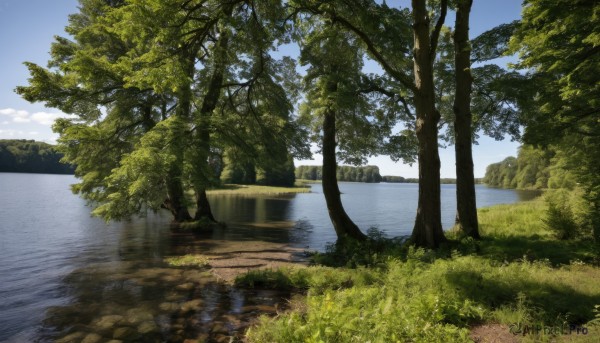 outdoors,sky,day,cloud,water,tree,blue sky,no humans,grass,nature,scenery,forest,reflection,mountain,river,landscape,lake,reflective water,plant