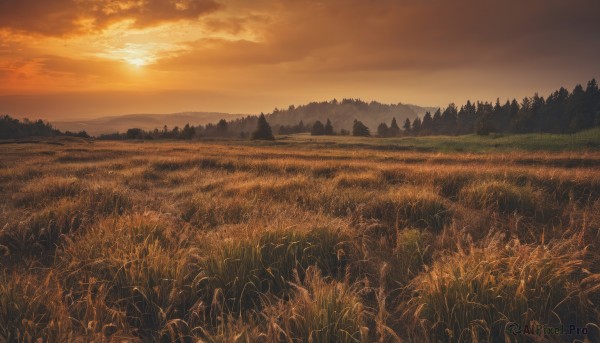 outdoors,sky,cloud,tree,no humans,cloudy sky,grass,nature,scenery,forest,sunset,mountain,sun,field,evening,landscape,orange sky,hill,red sky,sunlight,mountainous horizon,orange theme