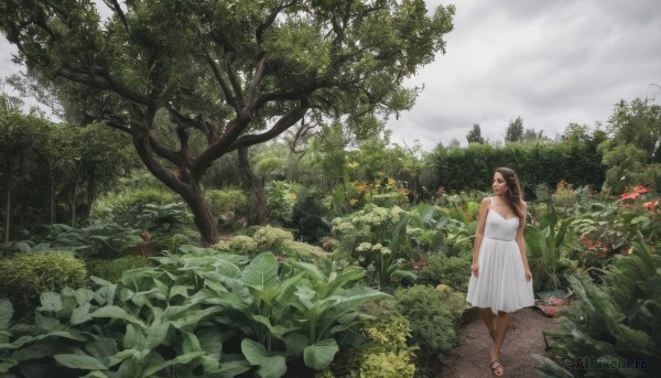 1girl,solo,long hair,breasts,brown hair,dress,cleavage,bare shoulders,brown eyes,medium breasts,standing,flower,outdoors,sky,sleeveless,day,cloud,white dress,tree,sleeveless dress,sandals,cloudy sky,grass,plant,nature,scenery,forest,walking,sundress,road,bush,path,leaf,realistic