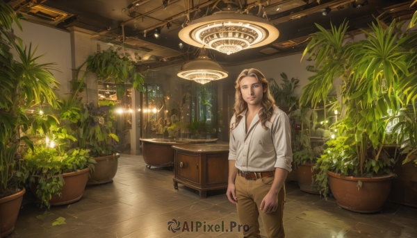 1girl,solo,long hair,looking at viewer,smile,brown hair,shirt,long sleeves,1boy,brown eyes,closed mouth,standing,white shirt,male focus,collared shirt,belt,pants,indoors,lips,window,dress shirt,leaf,plant,scenery,buckle,sleeves rolled up,tiles,potted plant,light,brown belt,lamp,brown pants,tile floor,ceiling,ceiling light,cowboy shot,parted lips,wavy hair,table,curly hair,belt buckle,realistic,sleeves pushed up,light bulb,cabinet