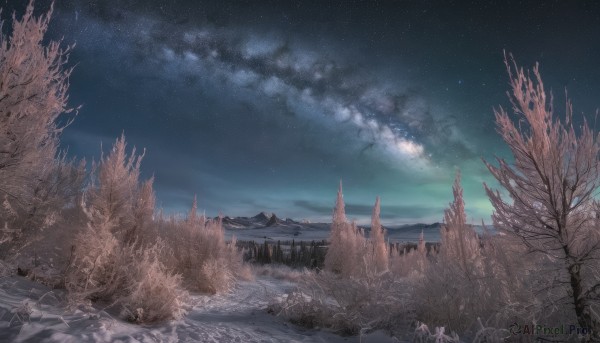 A graceful landscape captured in snowy outdoors