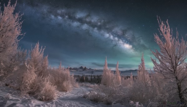 outdoors,sky,cloud,signature,tree,no humans,night,star (sky),nature,night sky,scenery,snow,forest,starry sky,mountain,bare tree,landscape,water,bird,cloudy sky,building,fantasy,castle