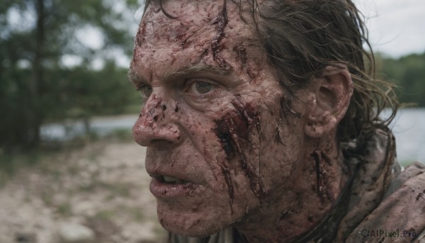 solo,brown hair,1boy,brown eyes,male focus,outdoors,parted lips,day,blurry,lips,blood,depth of field,blurry background,portrait,injury,blood on face,realistic,dirty,dirty face,looking at viewer,black hair,teeth,black eyes,tree,facial hair,close-up