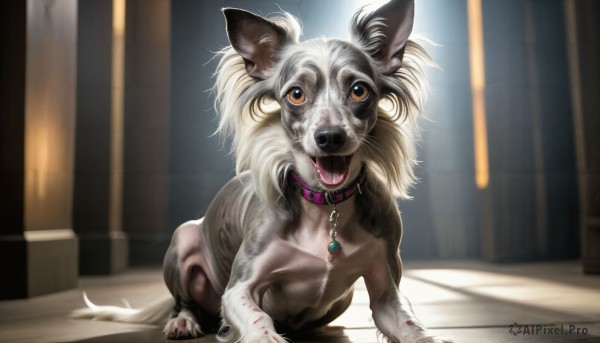 A stunning view of a dog in sunlight