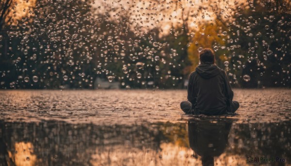 solo, short hair, black hair, 1boy, sitting, jacket, male focus, outdoors, hood, from behind, blurry, hood down, scenery, reflection, bubble, indian style