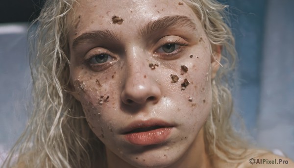 1girl,solo,long hair,looking at viewer,blonde hair,parted lips,blurry,lips,grey eyes,eyelashes,blurry background,portrait,close-up,freckles,realistic,nose,dirty,dirty face,thick eyebrows