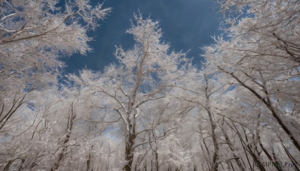 The timeless beauty of a unique subject in a bold day