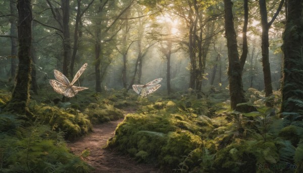 outdoors, day, tree, no humans, leaf, sunlight, bug, plant, butterfly, nature, scenery, forest, light rays