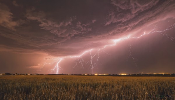 A delightful capture of a lightning within sunset outdoors