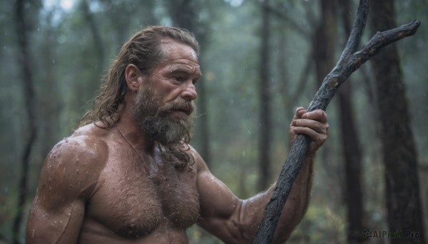 solo,long hair,blue eyes,1boy,holding,closed mouth,nipples,upper body,weapon,grey hair,male focus,nude,outdoors,holding weapon,blurry,tree,wet,muscular,blurry background,facial hair,scar,pectorals,muscular male,polearm,staff,nature,bara,beard,forest,large pectorals,topless male,mature male,realistic,mustache,manly,holding polearm,old,chest hair,old man,arm hair,hairy,wrinkled skin,jewelry,day,medium hair,necklace,from side,sunlight,scar on face,veins,scar across eye