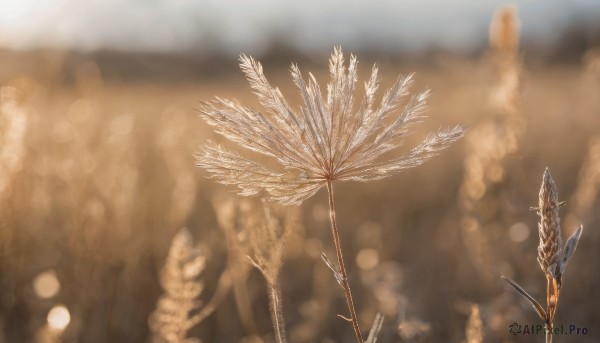 A abstract captured in a dynamic background