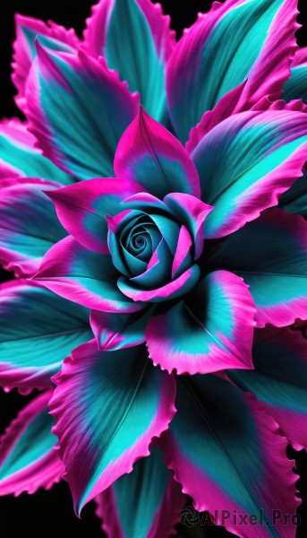 solo,looking at viewer,simple background,flower,no humans,rose,leaf,black background,pink flower,blue flower,blue rose,blue eyes,blurry,pokemon (creature),fish,pink rose,fins