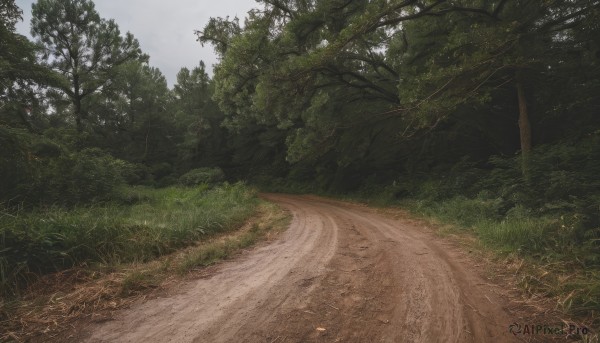 outdoors,sky,day,cloud,tree,no humans,grass,plant,nature,scenery,forest,road,bush,path,blue sky,realistic,landscape