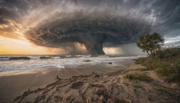 outdoors, sky, cloud, water, tree, dutch angle, no humans, ocean, beach, cloudy sky, scenery, sand, landscape